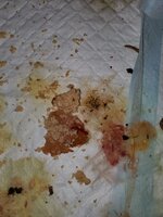 20191122_092901.jpg