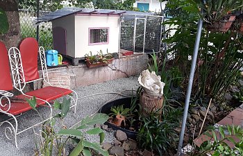 20190803_155349.jpg