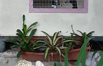 20191020_174924.jpg