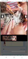 Screenshot_20191124-194827_Chrome.jpg