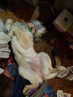 20191112_020946.jpg