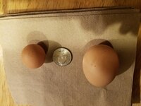 20171103_190307.jpg