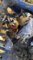 F8192F03-E1DF-435C-939A-B1C0E6D98F1F.png