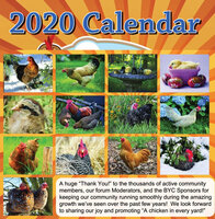 2020 Calendar 2.jpg