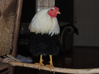 DSCN1681.JPG