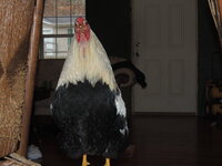 DSCN1685.JPG