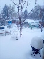 IMG_20191126_065723.jpg