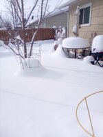 IMG_20191126_134557.jpg