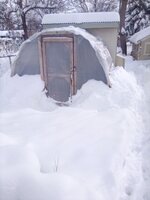 IMG_20191126_134607.jpg