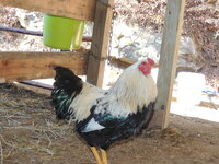 DSCN1705.JPG