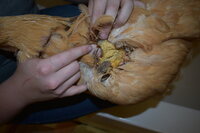 DSC_0057.JPG DSC_0057.JPG