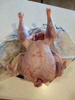 IMG_20191123_151117219.jpg