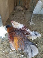 20191123_085832.jpg