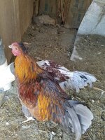 20191123_085833.jpg