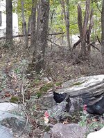 20191009_102026.jpg