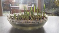 20191201_104858.jpg