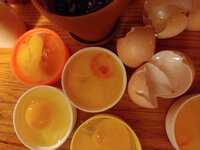 1201191726a.jpg