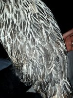 20191203_084239.jpg