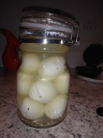 20191203_104122.jpg