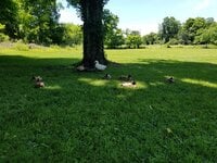 2773CF58-5FFF-4290-BF8D-DDEB0A93530D.jpeg
