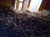 IMG_20191205_111134.jpg