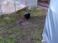 IMG_20191205_111236.jpg