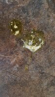 20191204_153940.jpg