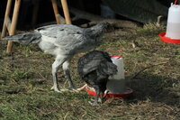 IMG_8686.JPG