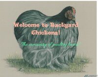 photofunny.net_ (3).jpg