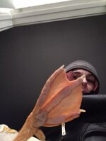 IMG_20191206_041348246.jpg