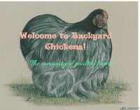 photofunny.net_ (3).jpg