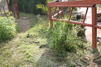 IMG_5130.JPG IMG_5130.JPG