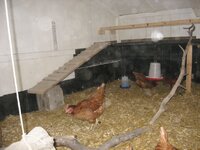 image002.jpg