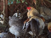 Photo Dec 14, 1 09 24 PM.jpg