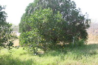 IMG_5276.JPG