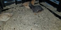20191217_100353.jpg