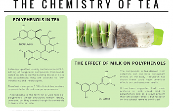 Tea-Chemistry.png