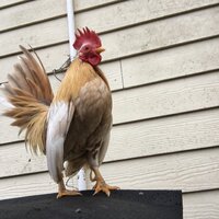 3425C53A-836D-4DEE-96A8-303A302235A1.jpeg