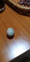 20191220_185929.jpg