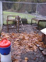 flooding6.jpg