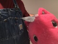 F7F755A7-29D2-48C7-A57D-AB00B4D0E11C.jpeg