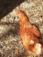 20191130_085801.jpg