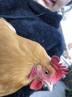 IMG_0567.jpeg