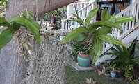 20200103_081333 (2).jpg