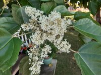 20200103_085638.jpg