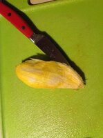 image.jpeg image.jpeg
