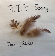 RIP Scary (2).jpg RIP Scary (2).jpg