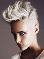punk hair.PNG punk hair.PNG