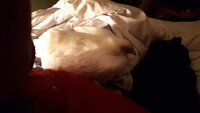 20200110_070907.jpg