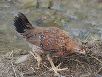DSCN2103.JPG